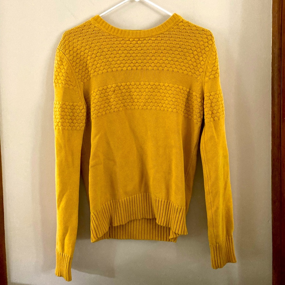 Fall sweater